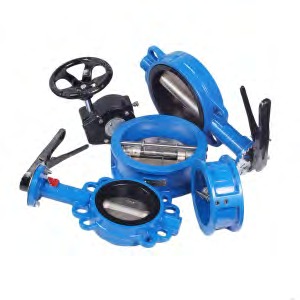 CI Valves